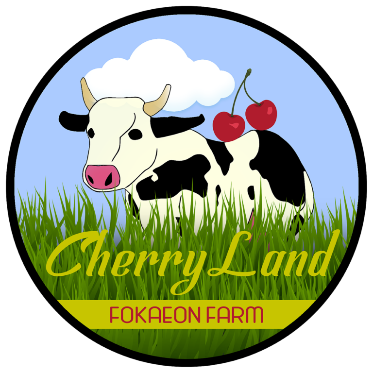 cherry land 768x768